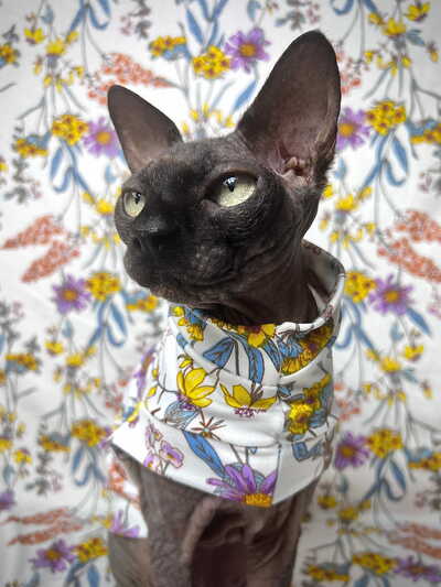Sunlit Wildflowers - Sleepwear