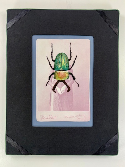 Beetle v.2