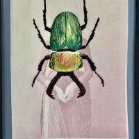 Beetle v.2 - Thumbnail 1