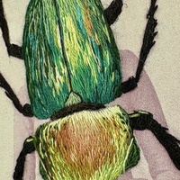 Beetle v.2 - Thumbnail 5