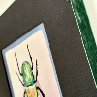 Beetle v.2 - Thumbnail 7