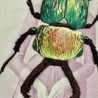 Beetle v.2 - Thumbnail 8