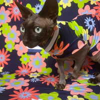Electric Petal Parade - Sleepwear - Thumbnail 1