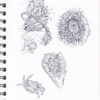 California Sketchbook - Thumbnail 3