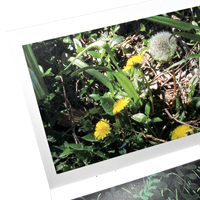 Green - Thumbnail 4