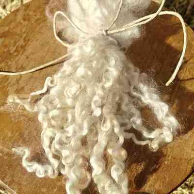Wensleydale wool locks