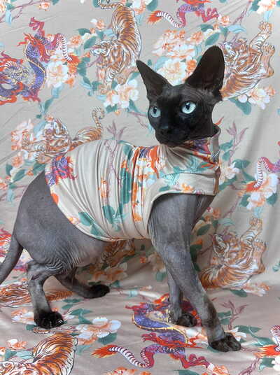 Dynasty In Bloom - Sleepwear