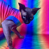 Pride - Sleepwear - Thumbnail 2
