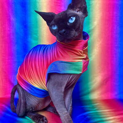 Pride - sleepwear