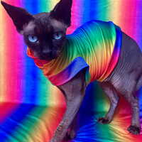 Pride - Sleepwear - Thumbnail 1