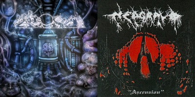 Nedgravd / Fake Dust 2 Cassette pack 
