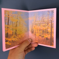 MAINE - Thumbnail 4