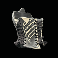 Skeleton 3 piece wearable ceramic corset by: Nicole Moan  - Thumbnail 5