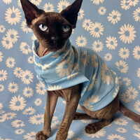 Blue Daisy Thermal - Thumbnail 2