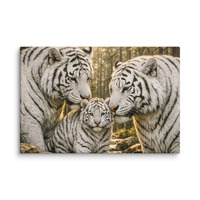 WT 1285 Canvas - Thumbnail 1