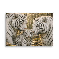 WT 1285 Canvas - Thumbnail 2