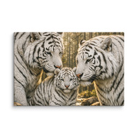 WT 1285 Canvas - Thumbnail 4