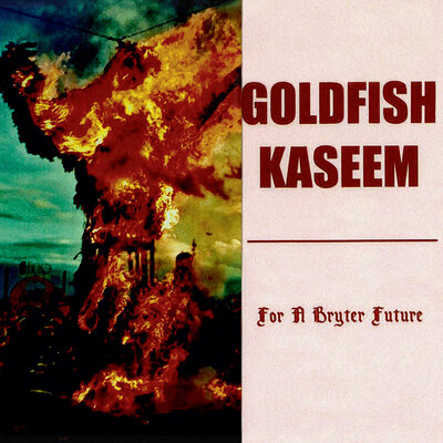 Goldfish kaseem - for a bryter future