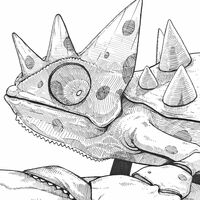 Drawing by Dhani Barragan "Singular chameleon"  - Thumbnail 5