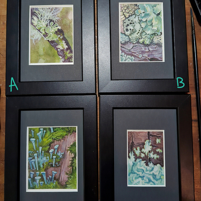 Miniature lichen studies