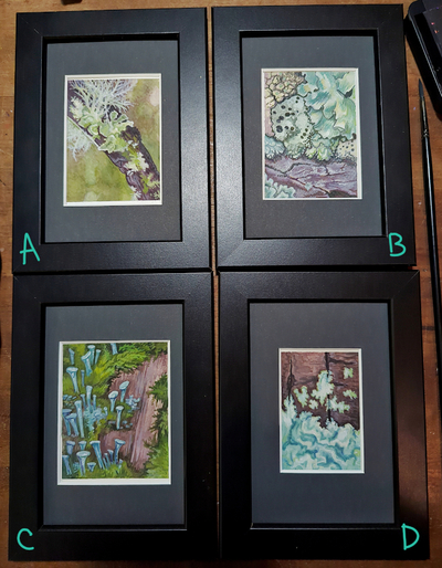 Miniature Lichen Studies