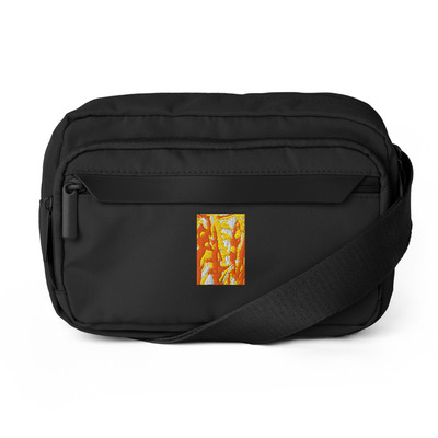 Urban crossbody bag - Color Game