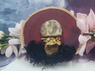 Fantasy Mushroom #4