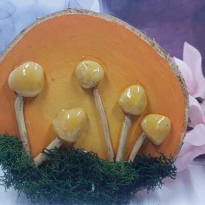 Fantasy mushroom #5