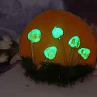 Fantasy Mushroom #5 - Thumbnail 1
