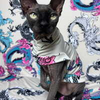 Double Dragon - Sleepwear - Thumbnail 1