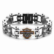 Fanshu Stainless Steel Titanium Harley Davidson Motor Chains Heavy Bangle Bracelet for Men Women Friends Gift Fashion Jewelry