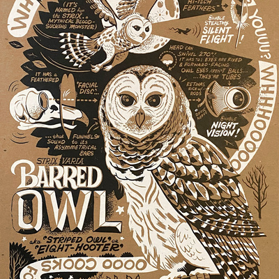 Barred owl screenprint