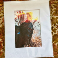 Matted Photography Prints  - Thumbnail 7