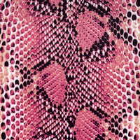 Pink Snake - Thumbnail 3
