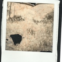 Double Glass framed Polaroid Prints - Thumbnail 2