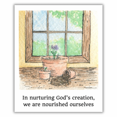 50 potted plant polaroid stickers