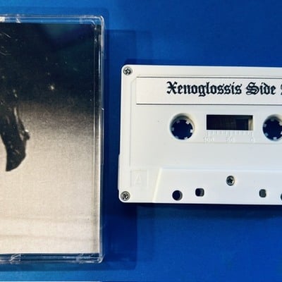 Xenoglossis - journey into the realm of infinite darkness 