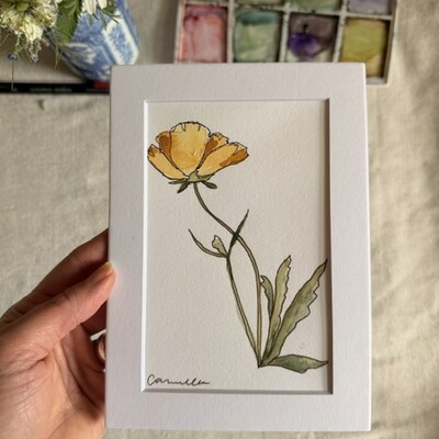 Original 5x7 inch matted painting “yellow poppy”