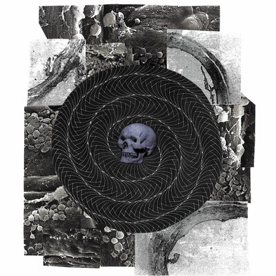 Hate activist cd