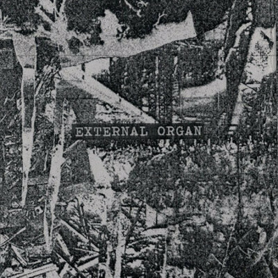 External organ 'internal void' cd