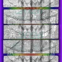 DIGITAL Printable Coloring Pages: 25 Mystery Animals SET 1 - Thumbnail 1