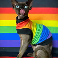 Horizontal Pride - Sleepwear - Thumbnail 2