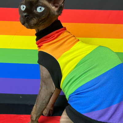 Horizontal pride - sleepwear