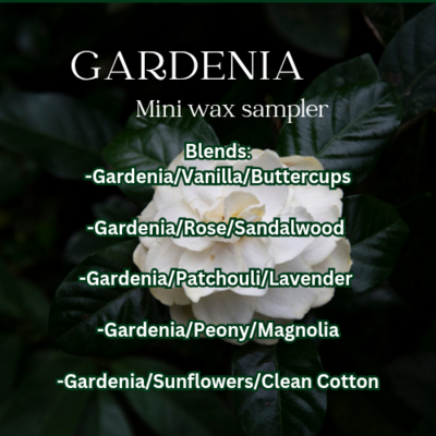 Gardenia mini wax sampler 