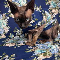 Midnight Forget-Me-Not - Sleepwear - Thumbnail 2