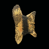 Gold Migration 3 piece wearable ceramic corset by: Nicole Moan  - Thumbnail 2
