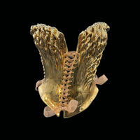 Gold Spindle 4 piece wearable ceramic corset by: Nicole Moan  - Thumbnail 8