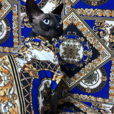 Majesty in saphire