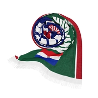 USA vs Paraguay 2026 World Cup Group D Souvenir Match Scarf - Thumbnail 1