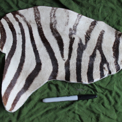 Vintage zebra tanned hide fur